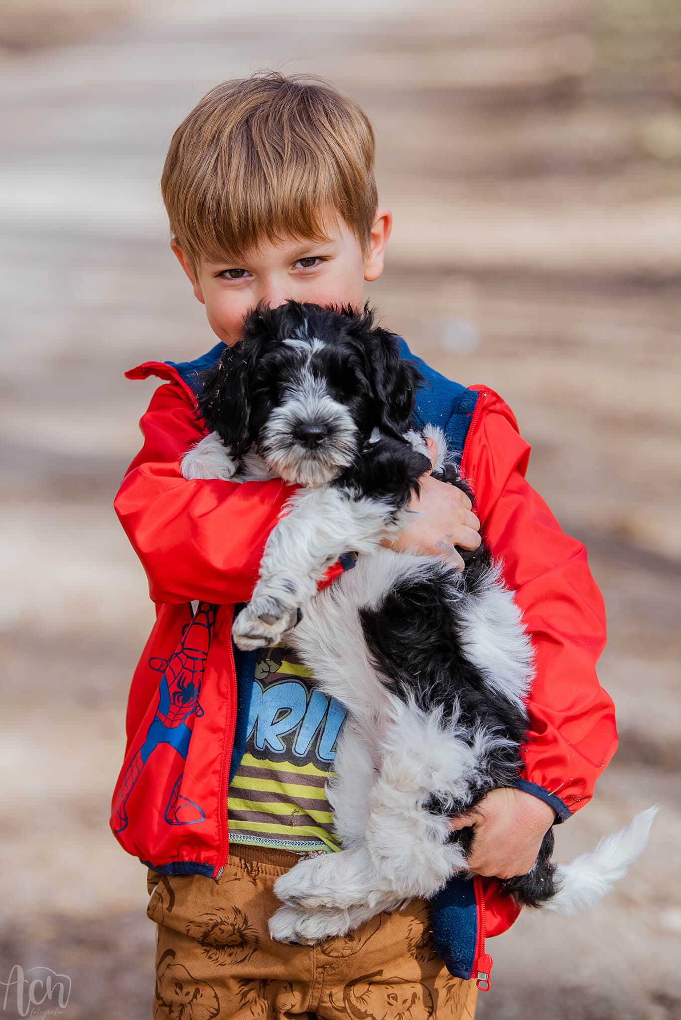 Australijski Labradoodle MuMu i Samuel