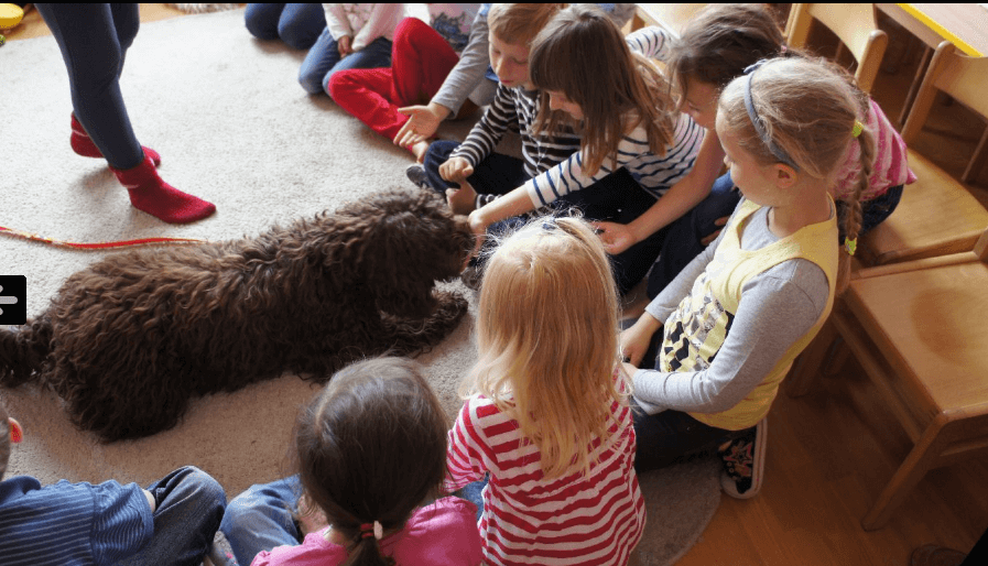 Edyta Gajewska i Labradoodle w przedszkolu