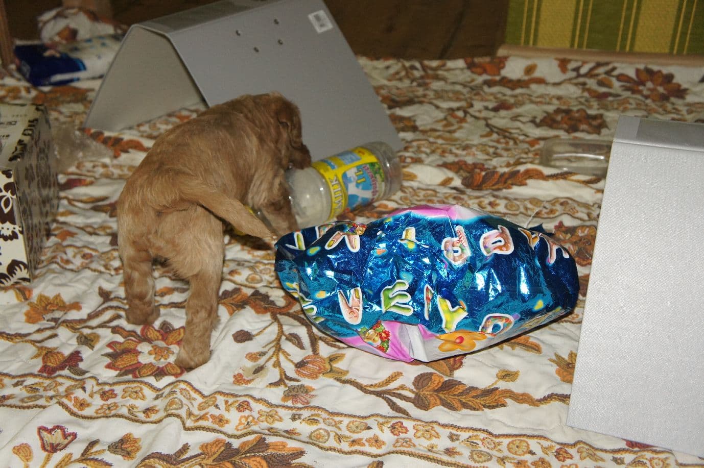 bottle of milk