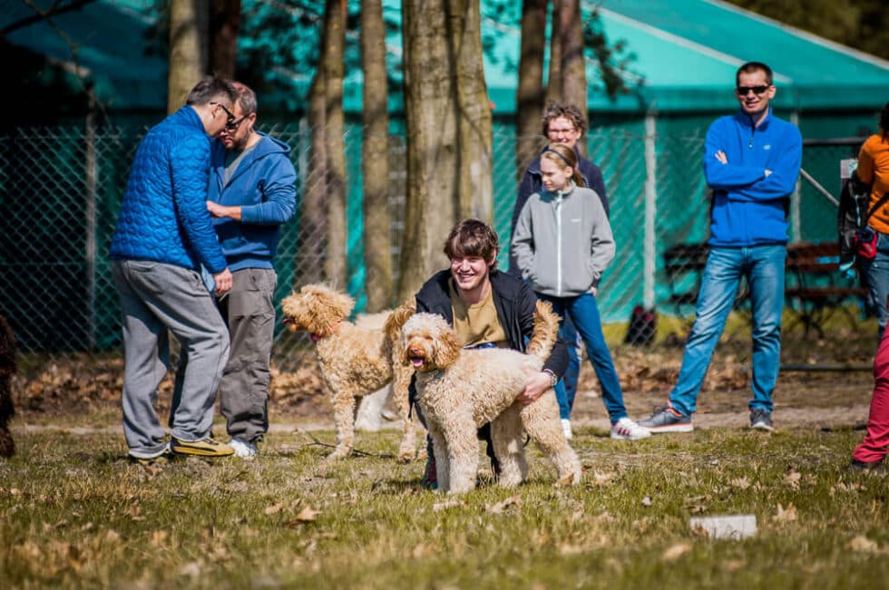 Zjazd Labradoodle i wspólna zabawa