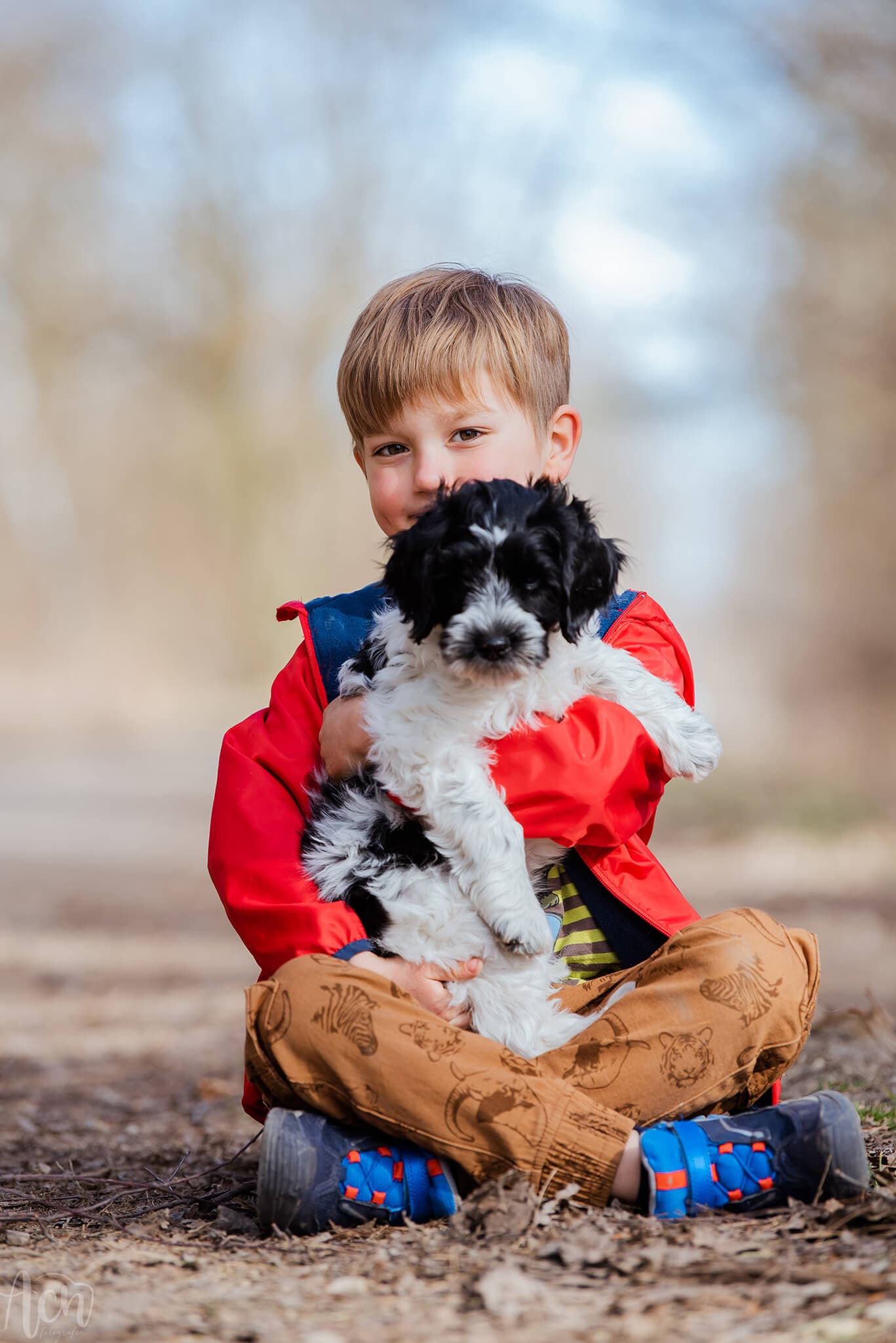 Australijski Labradoodle MuMu i Samuel