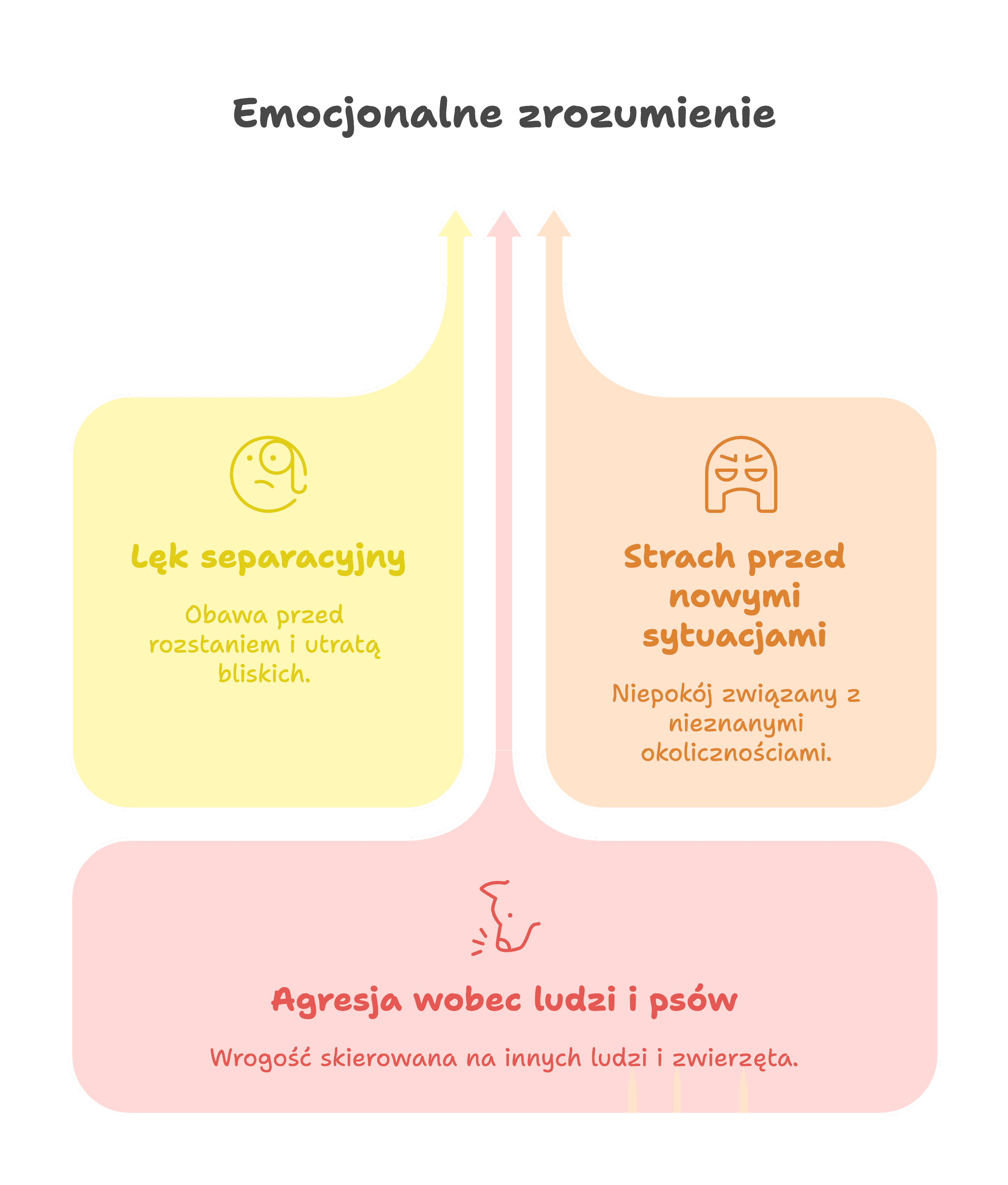 Emocjonalne zrozumienie psa w procesie socjalizacji